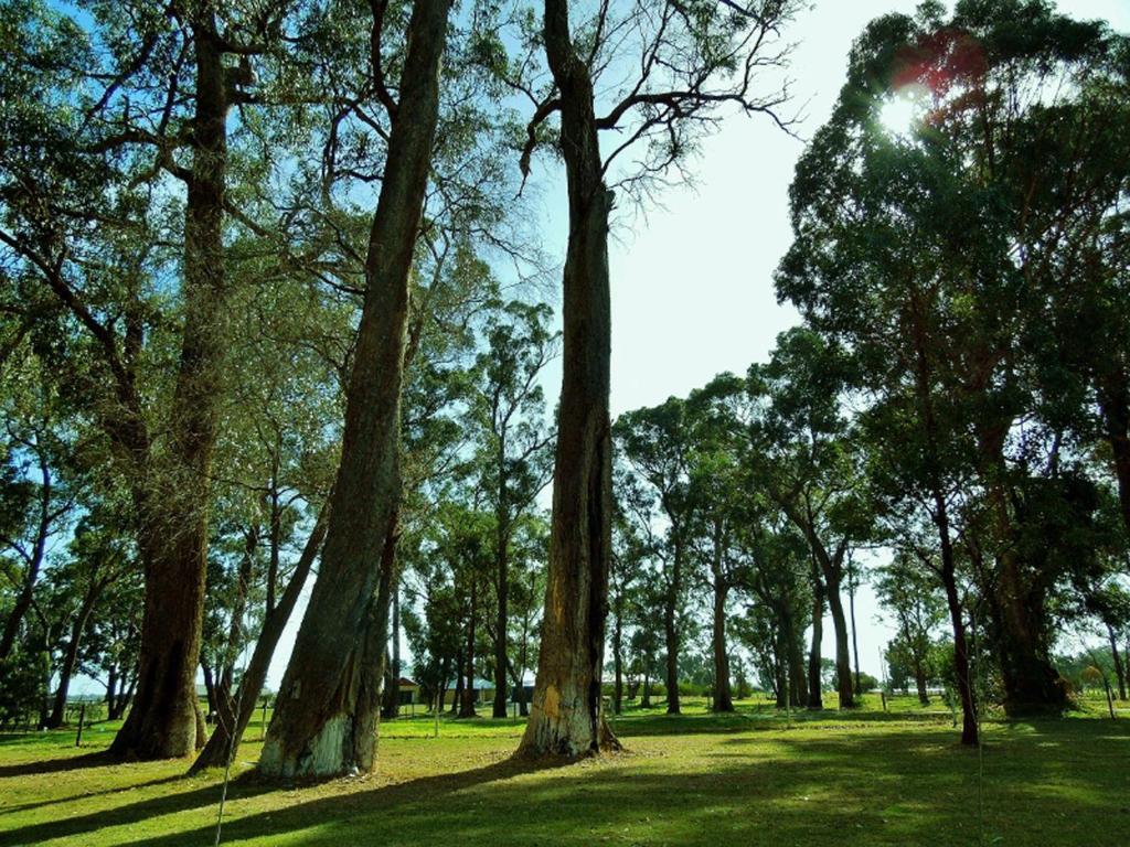Inn The Tuarts Guest Lodge Busselton Accommodation - Adults Only Экстерьер фото