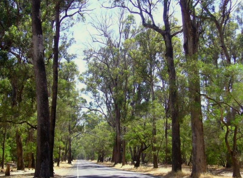 Inn The Tuarts Guest Lodge Busselton Accommodation - Adults Only Экстерьер фото