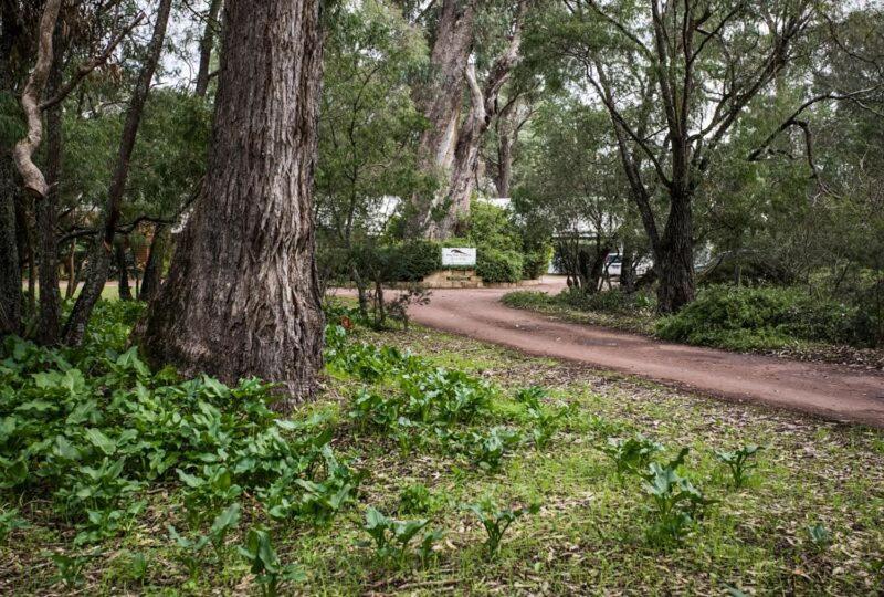 Inn The Tuarts Guest Lodge Busselton Accommodation - Adults Only Экстерьер фото